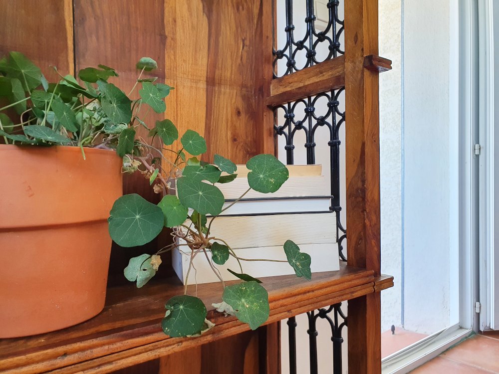 Gîte avec piscine pour groupe de 12 à 14 personnes proche de Carcassonne