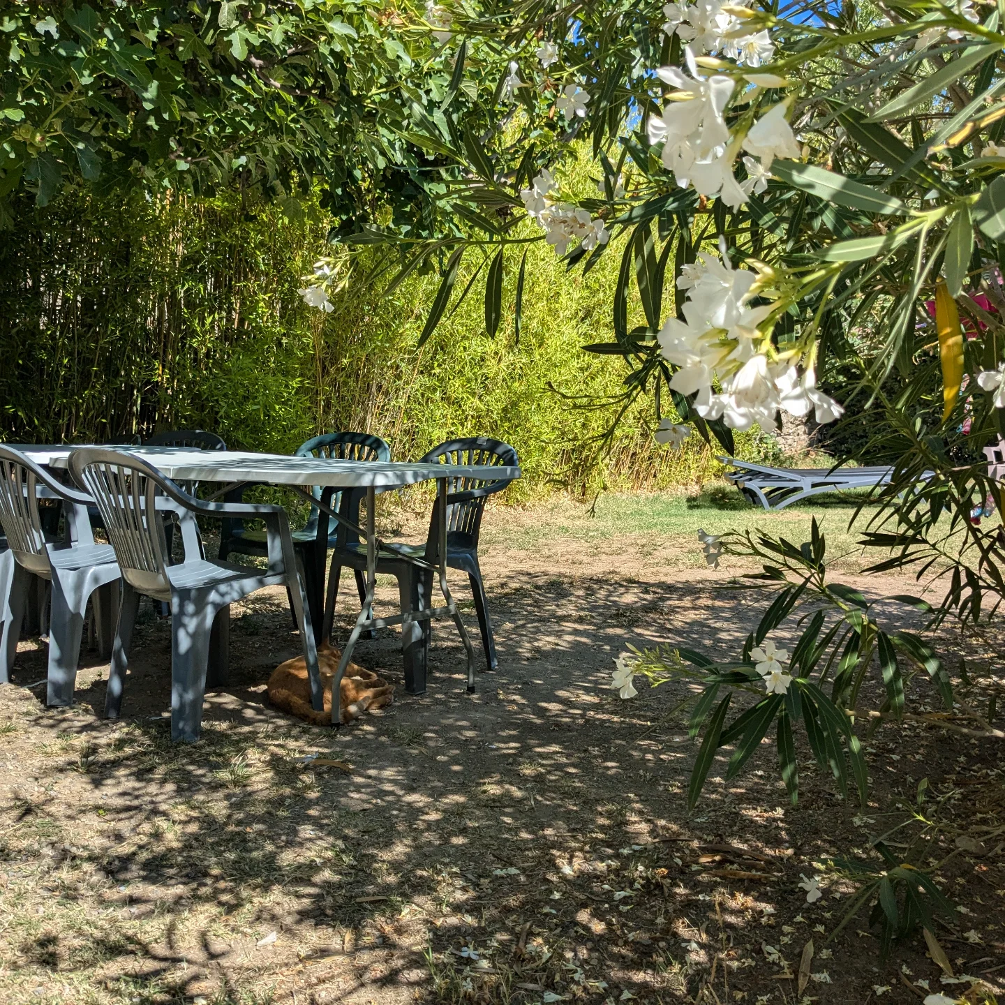Gîte avec jardin et piscine près de Carcassonne